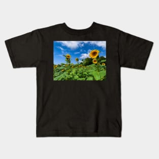 Sunflowers in the Field Kids T-Shirt